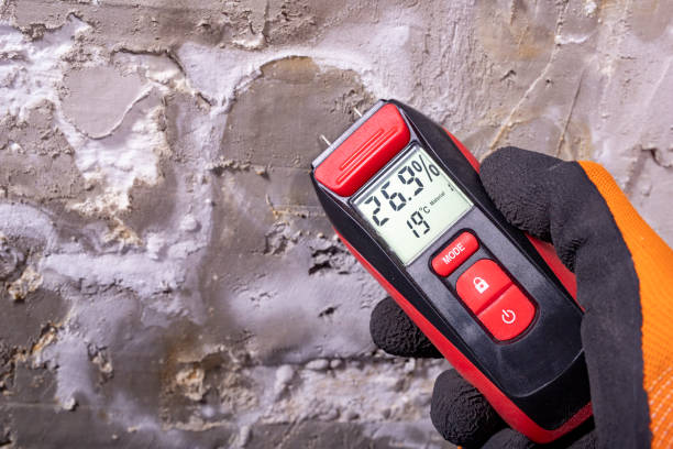 Best Home Mold Removal  in Fillmore, UT